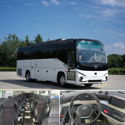 El modelo V10, es un autobús discrecional diésel de 10 metros de longitud y capacidad para 43 pasajeros más guía y conductor, destaca por su diseño funcional y su amplio maletero.